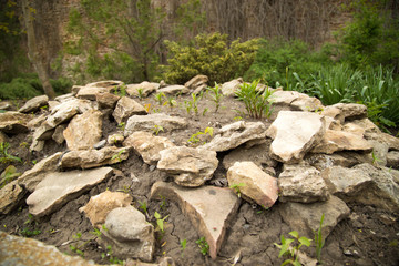 Obraz premium large flat stone. just wandering around the nearest park, enjoying the local scenery.