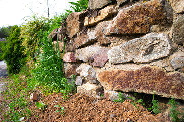 large flat stone. just wandering around the nearest park, enjoying the local scenery.