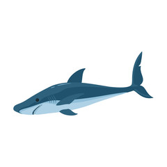 Fish shark vector icon.Cartoon vector icon isolated on white background fish shark .