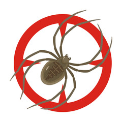Spider vector icon.Cartoon vector icon isolated on white background spider .