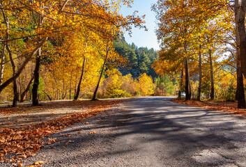Naklejka na ściany i meble Belemedik Natural Park autumn season colors