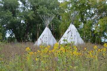 Tipis on the prairie during summer