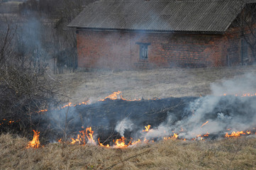 In spring, a dry grass is burned