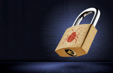 Software security concept. Errors in the program. Bugs in the program. The presence of a backdoor,...