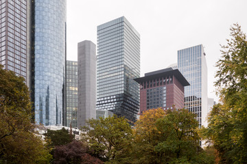 Frankfurt am Main – Hochhäuser an einem grauen Morgen im November