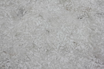 White snow with birds footprints tracks close up, winter pattern texture background