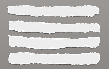 Pieces of torn horizontal white paper with soft shadow are on dark grey background for text. Vector illustration