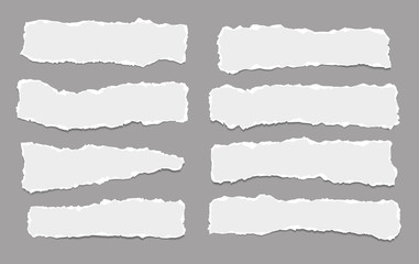 Pieces of torn horizontal white paper with soft shadow are on dark grey background for text. Vector illustration