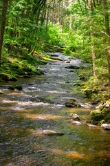 Going Upstream