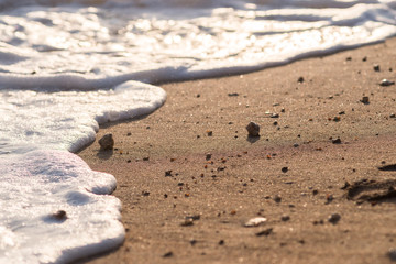 Fototapeta na wymiar Sandy beach in Sri Lanka