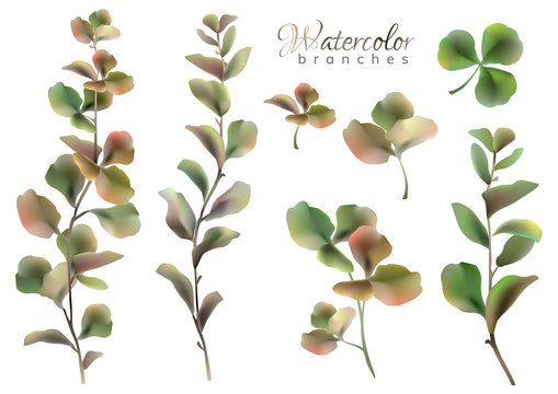 Set of watercolor style branches with  leaves. Vector illustration. 