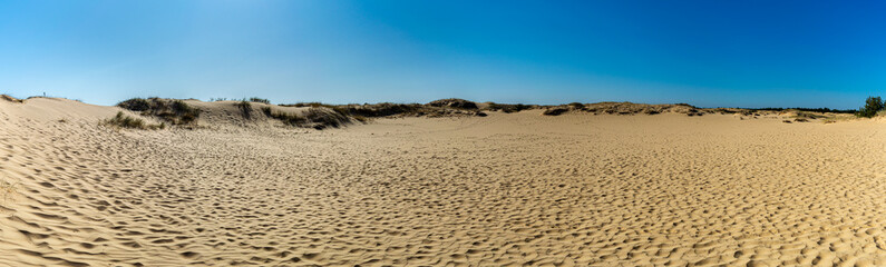 Panoramic view of Oleshky Sands on a blue sky in the Kherson region in Ukraine, the largest desert in Europe. Horizontal shot. 