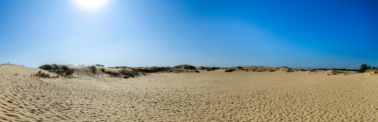 Panoramic view of Oleshky Sands on a blue sky in the Kherson region in Ukraine, the largest desert in Europe. Horizontal shot. 
