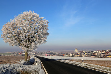 Winter landscape with trees covered with hoarfrost