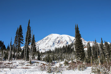 Obraz na płótnie Canvas snow covered trees in mountains