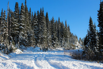 winter mountain landscape with trees and snow