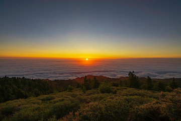 burning sun rising between clouds in the forest