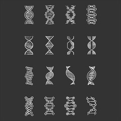 DNA helix chalk icons set. Deoxyribonucleic, nucleic acid structure. Spiraling strand. Chromosome. Molecular biology. Genetic code. Genome. Genetics. Medicine. Isolated vector chalkboard illustrations