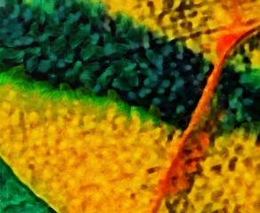 Grunge texture. Abstract background. Oil paint. Dry brush strokes. Simple pattern. Design template. Creative wallpaper. Scratches elements.