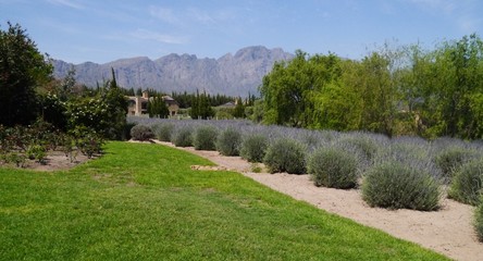 Travel pictures of landscapes