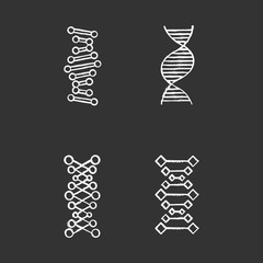 DNA chains chalk icons set. Deoxyribonucleic, nucleic acid helix. Spiraling strands. Chromosome. Molecular biology. Genetic code. Genome. Genetics. Medicine. Isolated vector chalkboard illustrations
