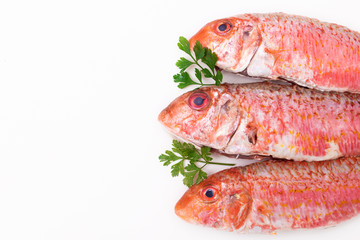natural raw fish isolated on white background, salmon or mullets