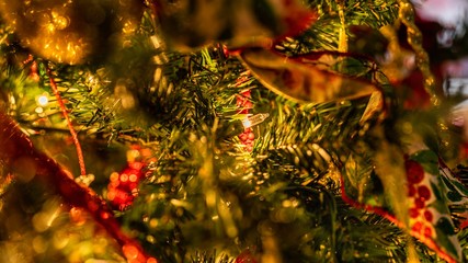 Lost Light In The Tree