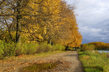 autumn, landscape, lake, water, forest, river, 