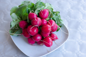 Radishes