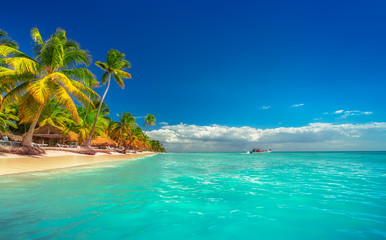 Landscape of paradise tropical island beach