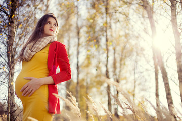 Pregnant woman in the park forest in autumn sunny day. Hold pregnant belly. Pregnancy concept 