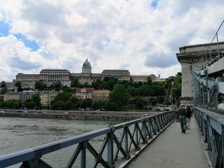 Flowers, Roses, Budapest, Trains, Hamburg, Rothsee