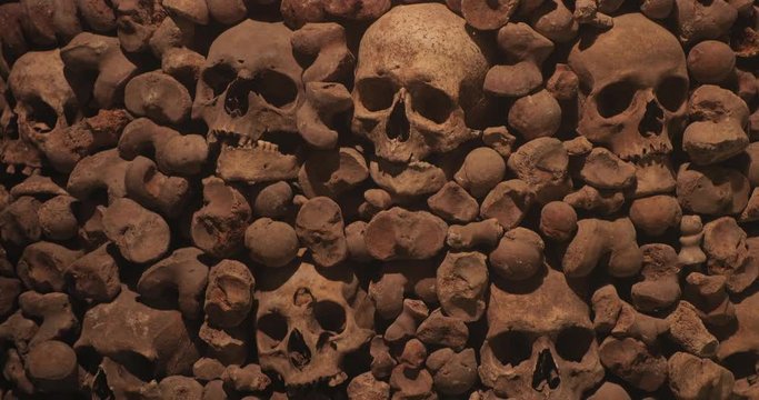 Wall made of human bones