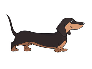 Dachshund. Silhouette of a cute dog in brown tones on a white background. Doggie character in cartoon style. Hand-drawn color sketch. Outline graphic arts. Linear icon. Isolated vector illustration.