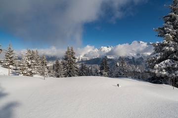 panorama depuis le cret du poulet