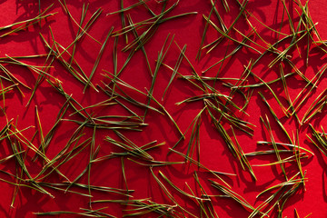 Pine needles with soft shadows on a red background. Christmas or New Year background.