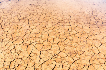 Brown dry soil or mud texture, background