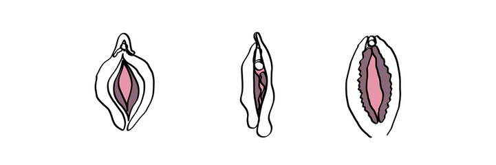 Vulva gezeichnet mit einer Linie
