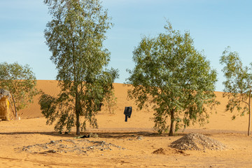 Fototapeta na wymiar Sahara desert in Merzouga. Morocco