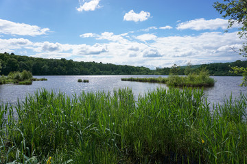 Belfort lake Malsaucy. France
