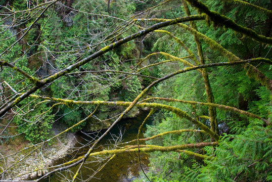 View from Capilano Suspension Bridge, Vancouver, British Columbia, Canada