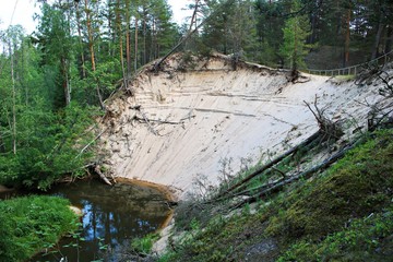 Very high sandy beach and small rivulet in green forest
