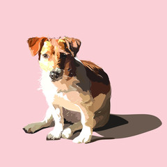 Portrait of a dog Jack Russell Terrier. The dog is sitting on a light background.