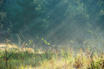 Sunny autumn landscape in mountains
