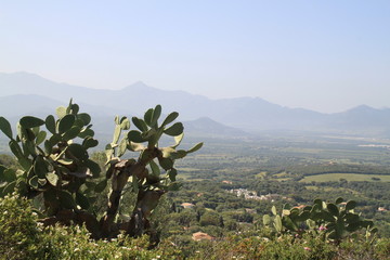 Lumio