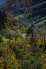 Deutschland, endlose Waldlandschaft des Schwarzwald Natur wandern Landschaft 