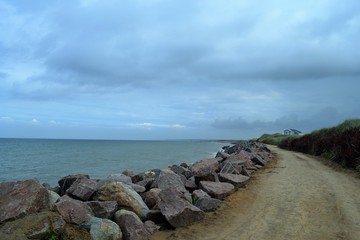 Denmark, coasts, dunes, raw