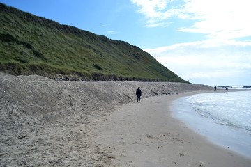 Denmark, coasts, dunes, raw