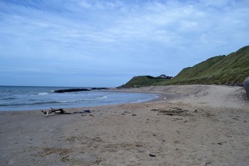 Denmark, coasts, dunes, raw