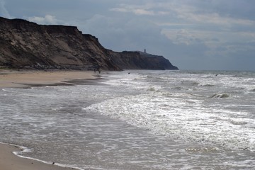 Fototapeta na wymiar Denmark, coasts, dunes, raw